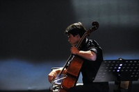 performance 1 by sfd 12