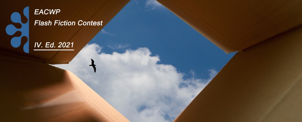 Flash-fiction-2021_banner.jpg
