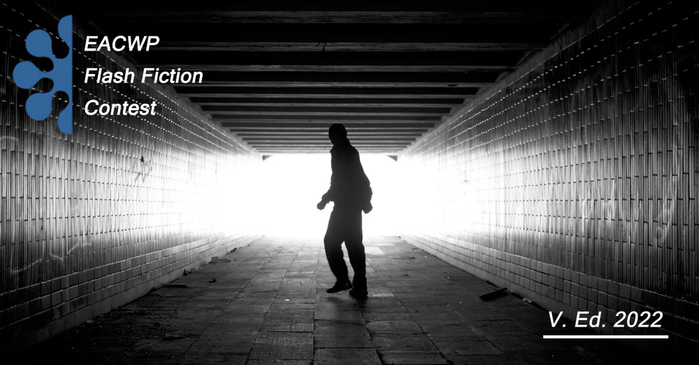 flash fiction 2022 facebook 1200x627