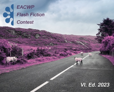 EACWP_Flash-fiction-2023-web.jpg