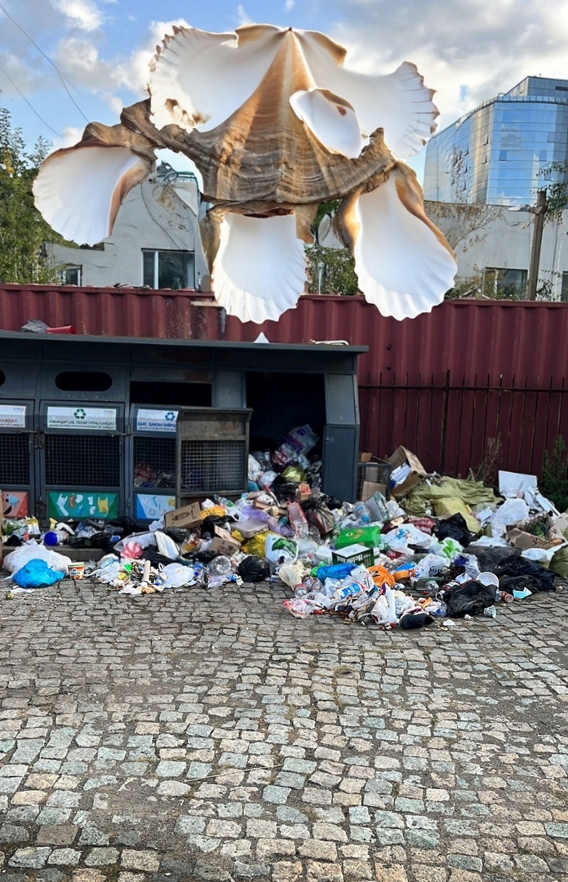 Der Flug der Muschel