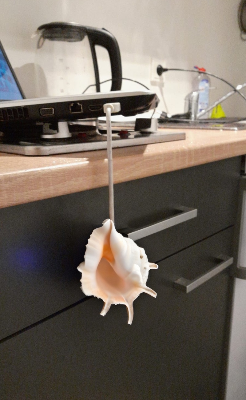 USB Muschel